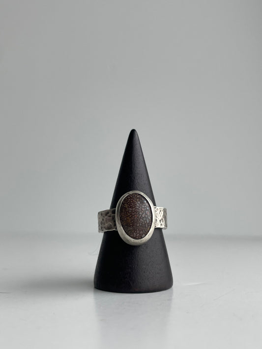 Dinosaur Bone and Sterling Ring - US 8.25